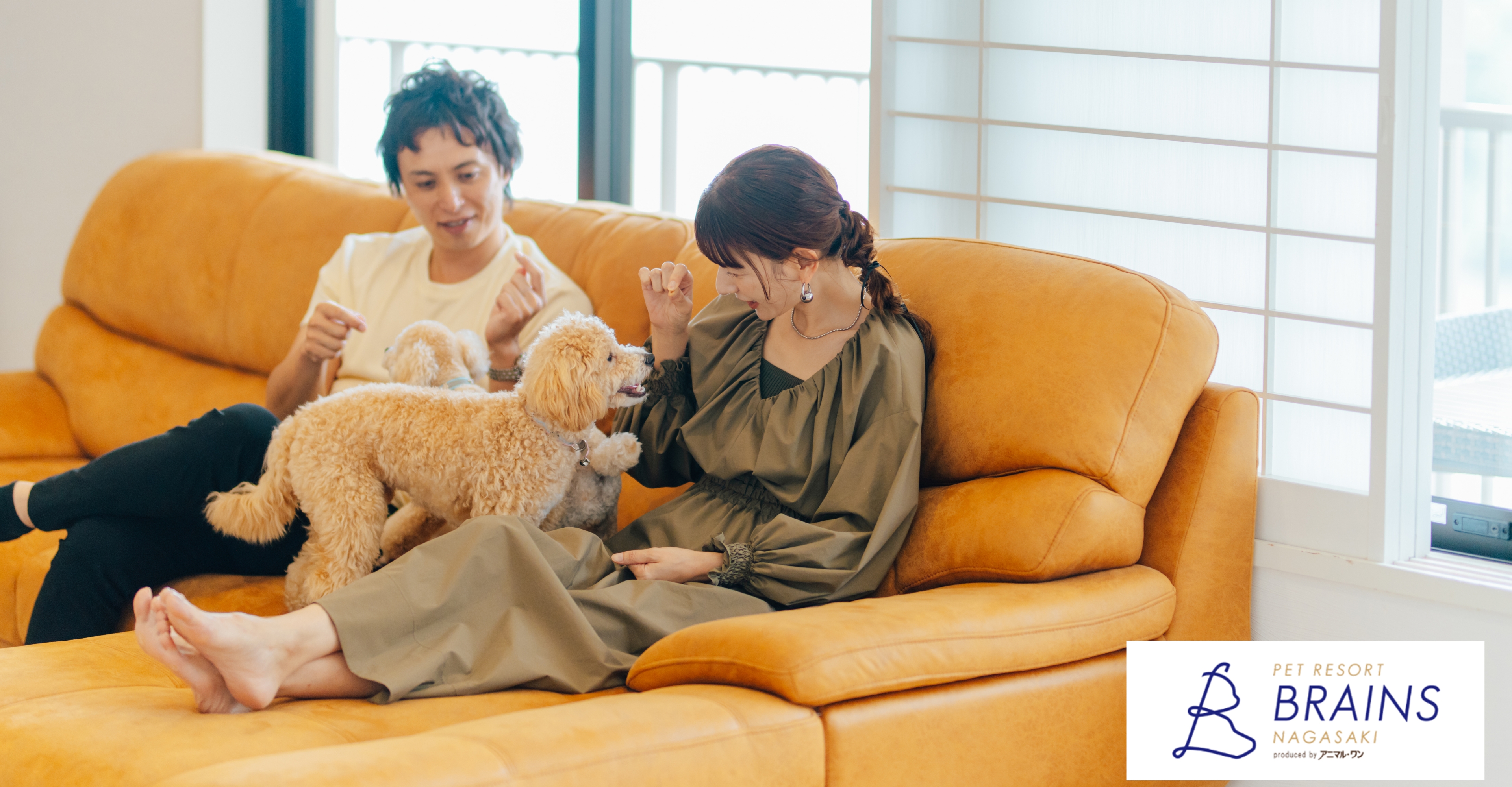 ペットと泊まれる海辺のリゾート