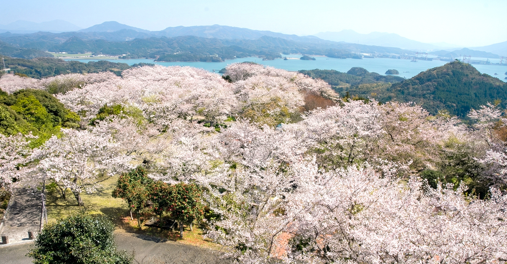 ペットと泊まれる海辺のリゾート