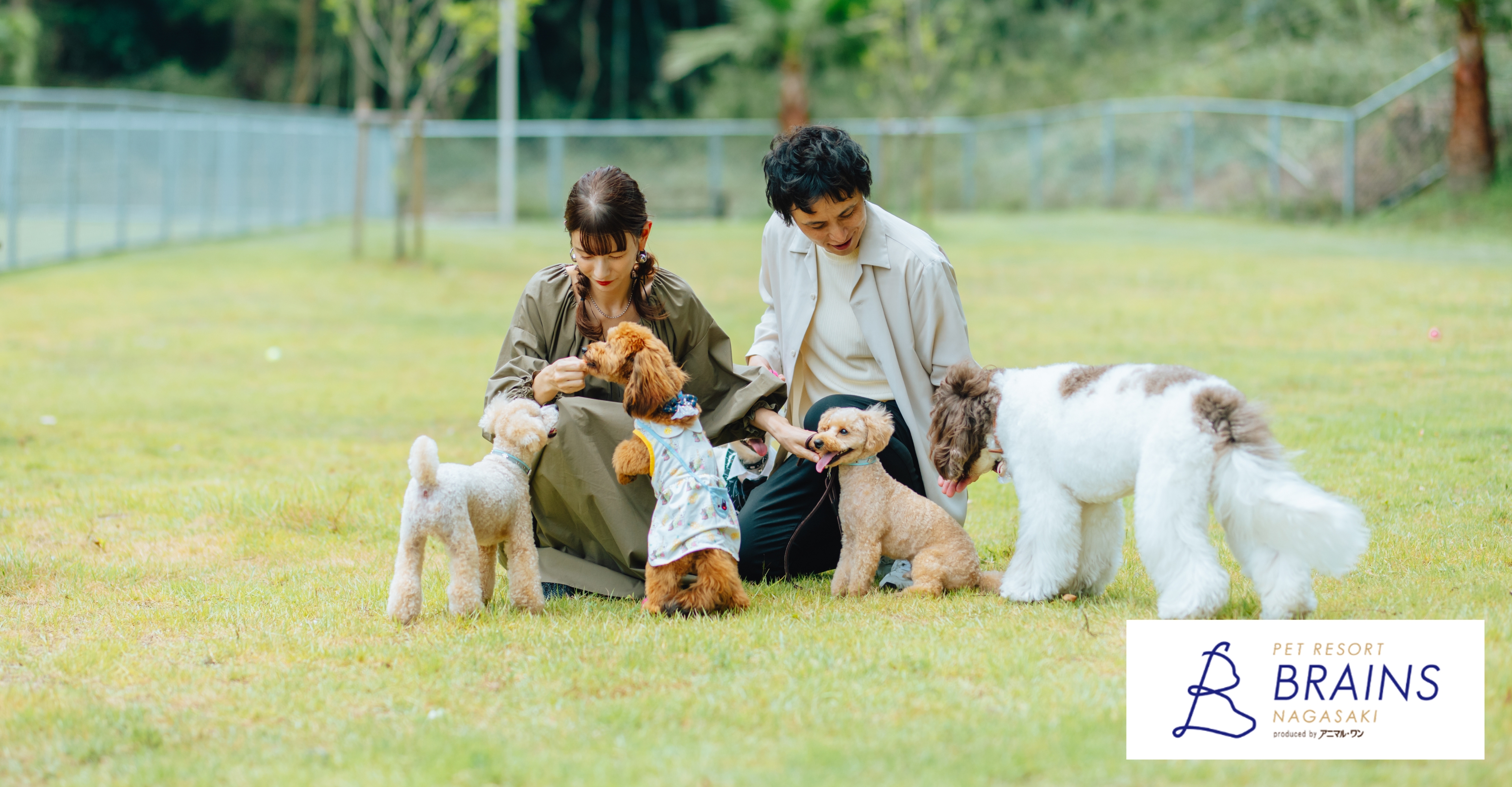 ペットと泊まれる海辺のリゾート