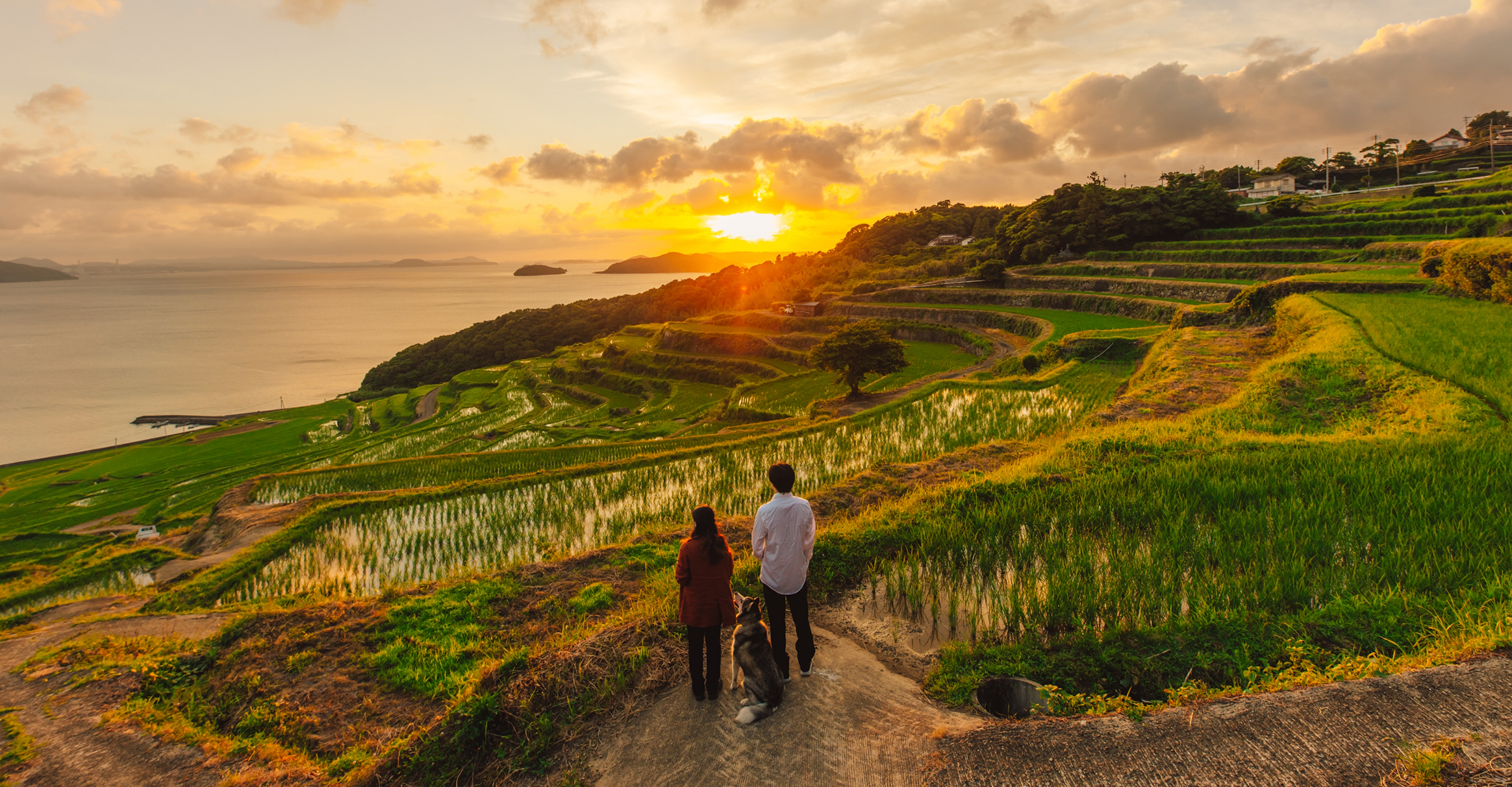 ペットと泊まれる海辺のリゾート